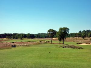 Sand Valley 12th